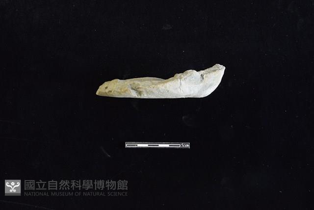 陶片藏品圖，第1張