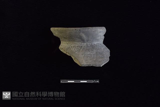 陶罐藏品圖，第1張