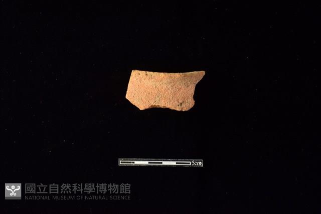 陶片藏品圖，第1張