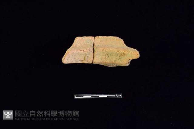 陶罐藏品圖，第1張