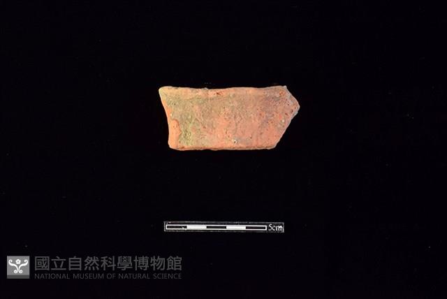 陶片藏品圖，第1張