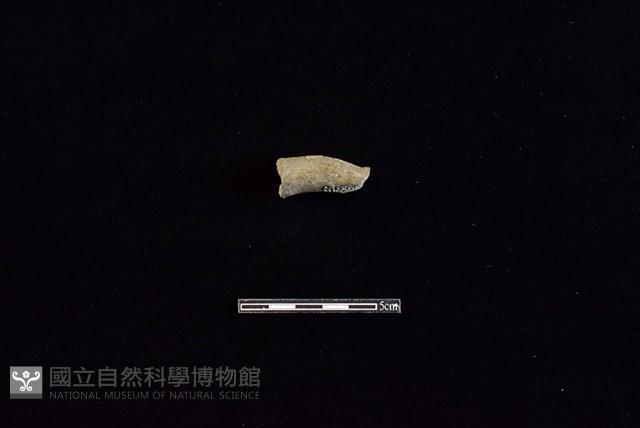 陶把藏品圖，第1張