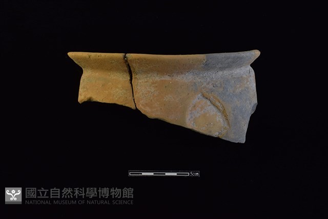 陶罐藏品圖，第1張
