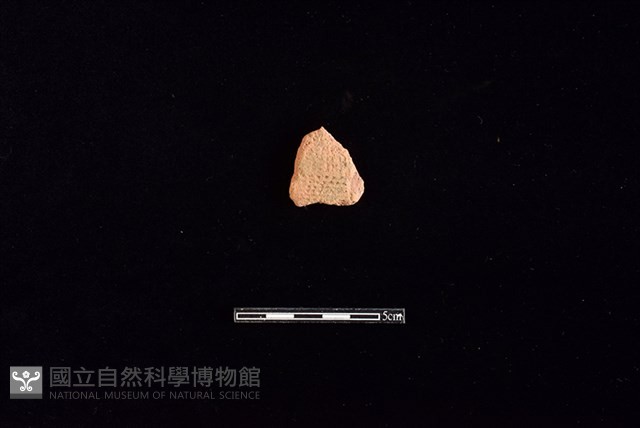 陶片藏品圖，第1張