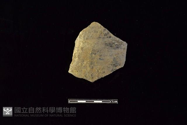 陶片藏品圖，第1張