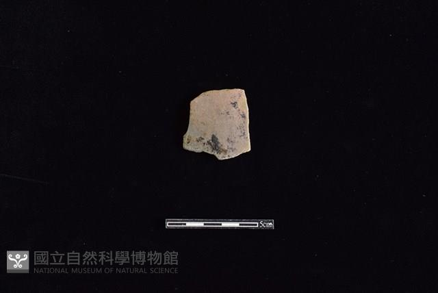 陶片藏品圖，第1張