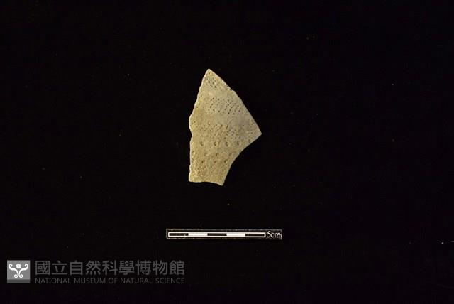 陶片藏品圖，第1張