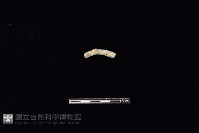 陶環藏品圖，第1張