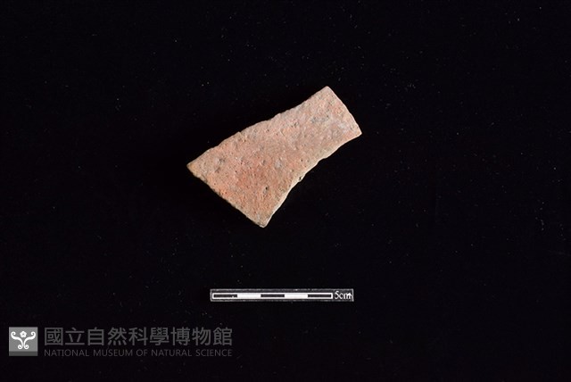 陶片藏品圖，第1張