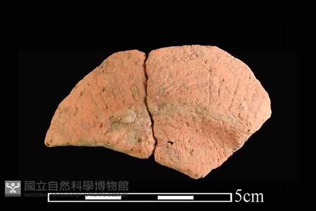 陶片藏品圖，第1張