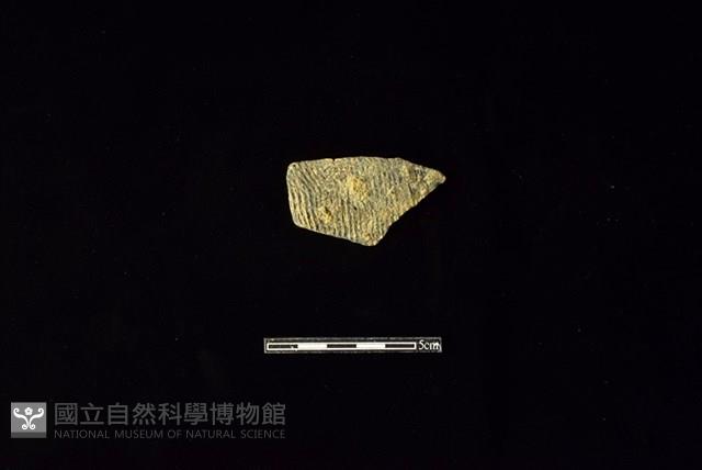 陶片藏品圖，第1張