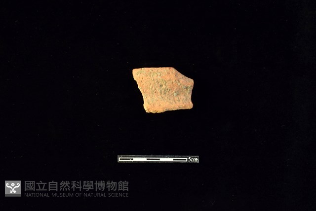 陶罐藏品圖，第1張