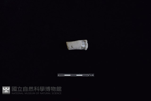 陶把藏品圖，第1張
