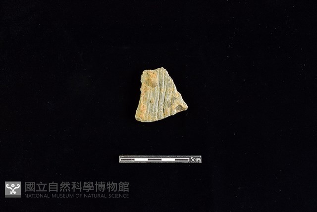 陶片藏品圖，第1張
