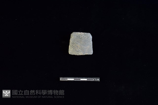 陶片藏品圖，第1張