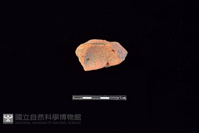 陶片藏品圖，第1張