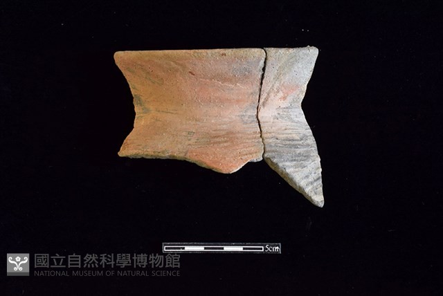 陶罐藏品圖，第1張