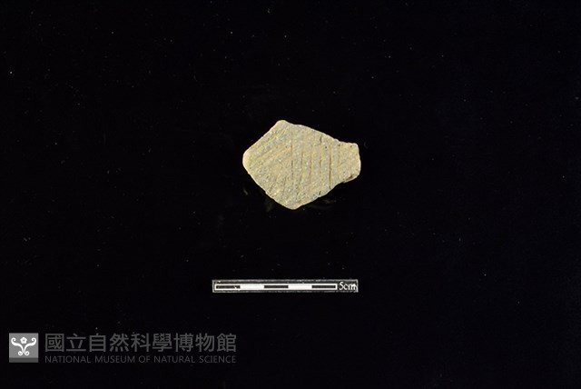 陶片藏品圖，第1張