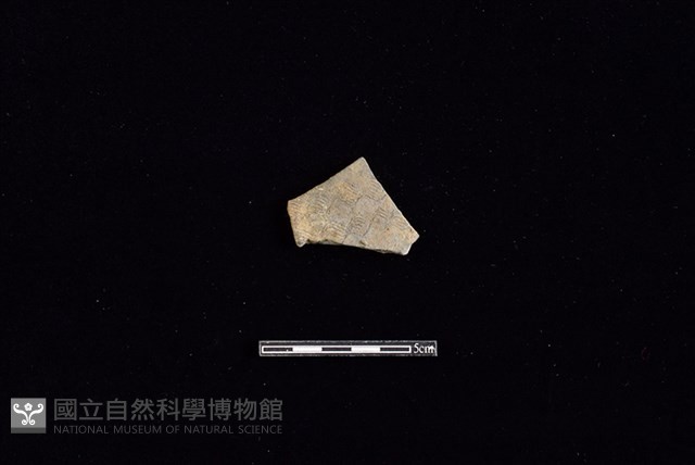 陶片藏品圖，第1張