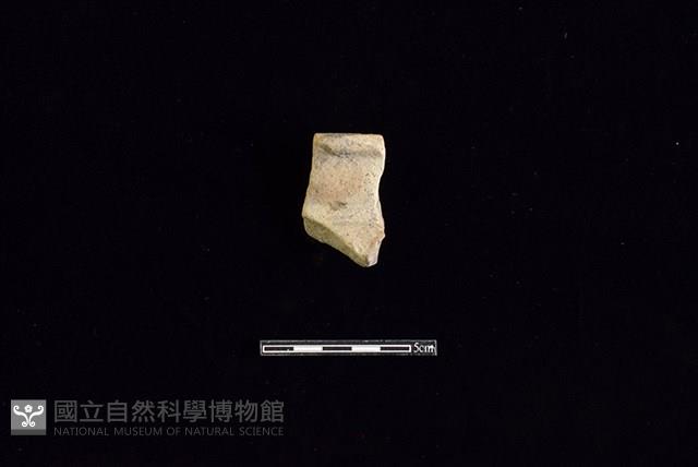 陶罐藏品圖，第1張