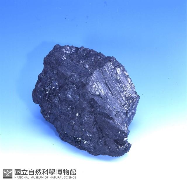 煤藏品圖，第3張