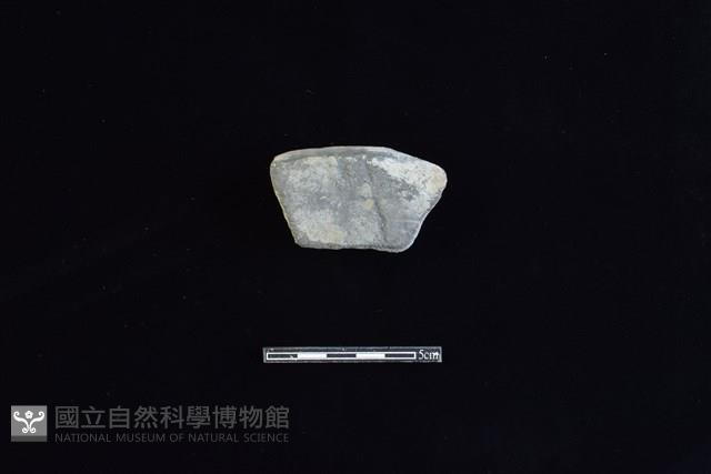 陶片藏品圖，第1張