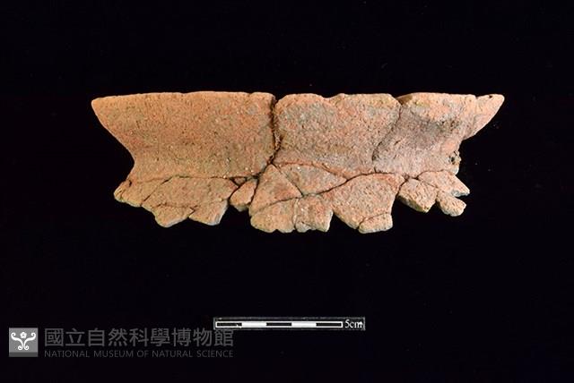 陶罐藏品圖，第1張