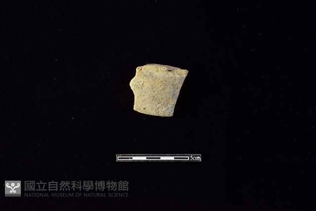 陶片藏品圖，第1張