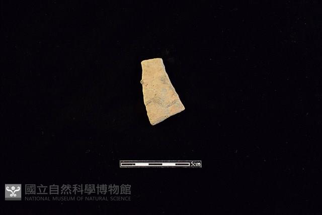 陶片藏品圖，第1張