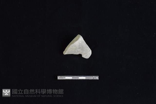 陶片藏品圖，第1張