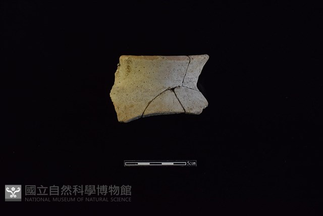 陶罐藏品圖，第1張