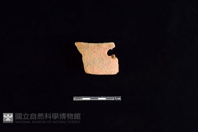 陶片藏品圖，第1張