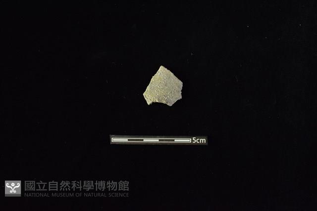 陶甑藏品圖，第1張