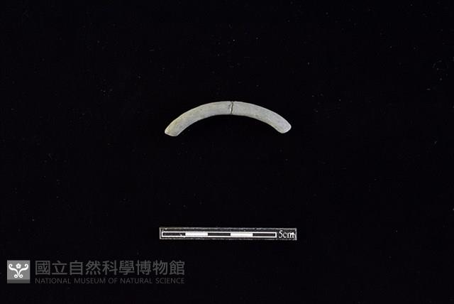 陶環藏品圖，第1張