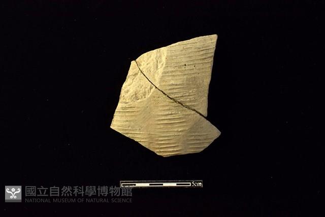 陶片藏品圖，第1張