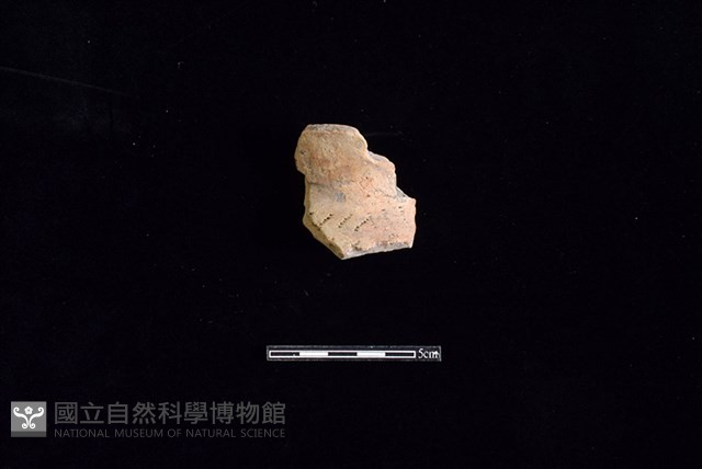 陶罐藏品圖，第1張