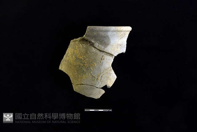 陶罐藏品圖，第1張