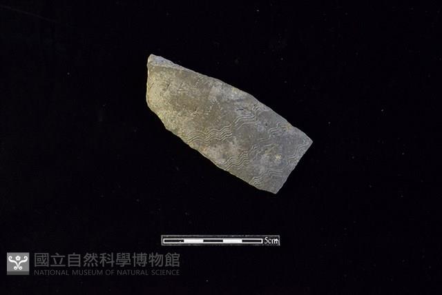 陶片藏品圖，第1張