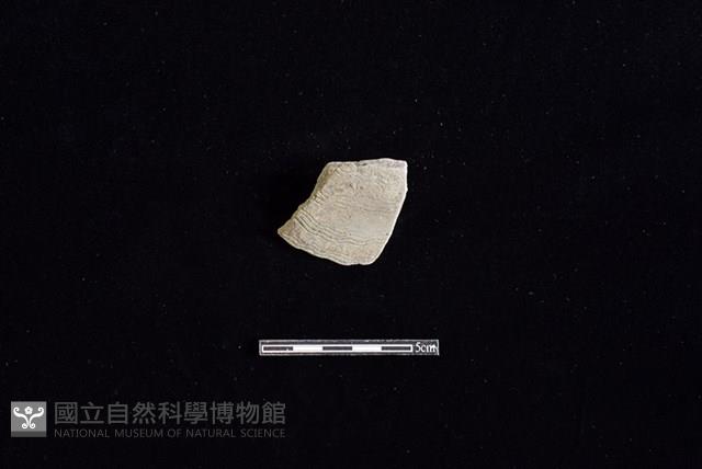 陶罐藏品圖，第1張