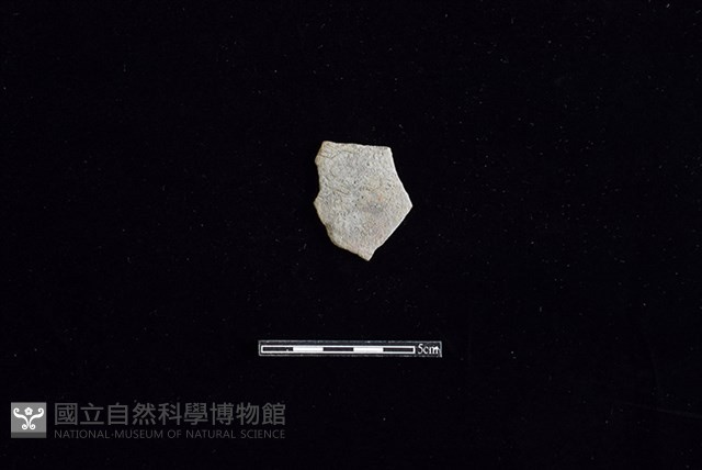 陶片藏品圖，第1張