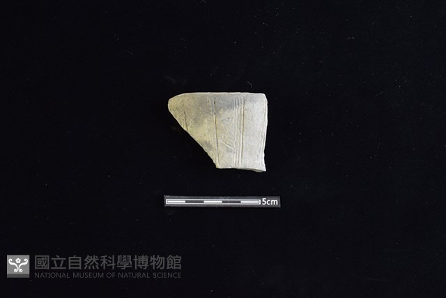 陶片藏品圖，第1張