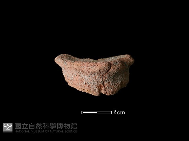陶片藏品圖，第1張