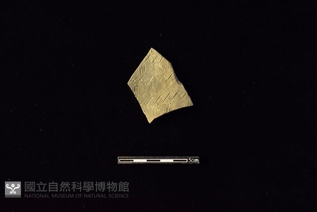 陶片藏品圖，第1張