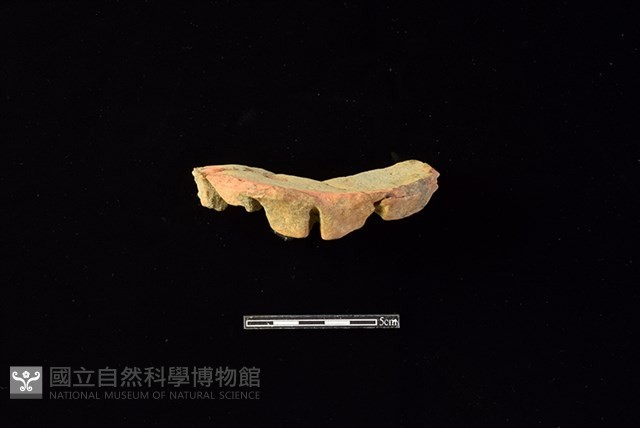 陶片藏品圖，第1張