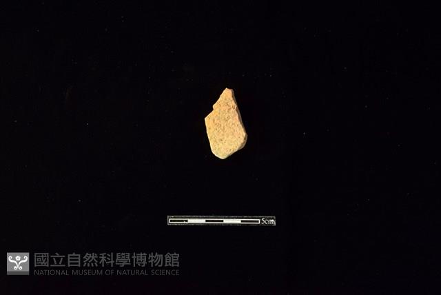 陶片藏品圖，第1張