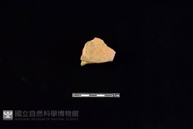 連杯形器藏品圖，第1張