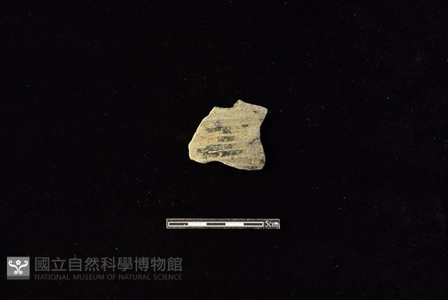 陶片藏品圖，第1張