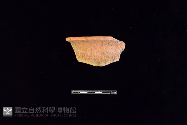陶罐藏品圖，第1張
