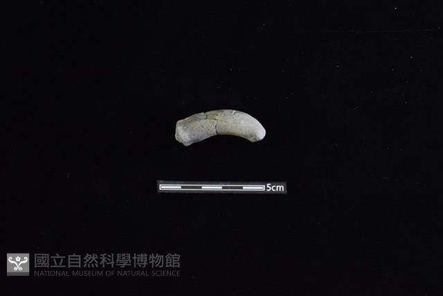 陶把藏品圖，第1張