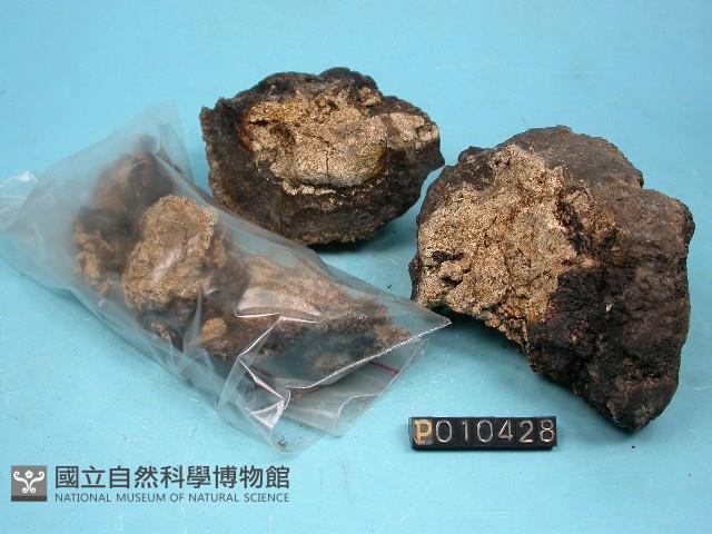 錳核藏品圖，第5張